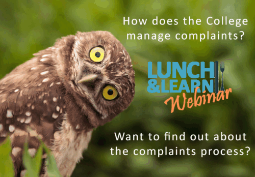 Lunch & Learn Webinar